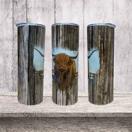 Highland cow  tumbler