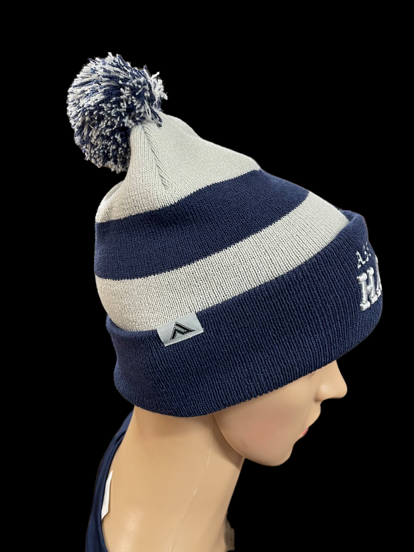 Assumption embroidered beanie