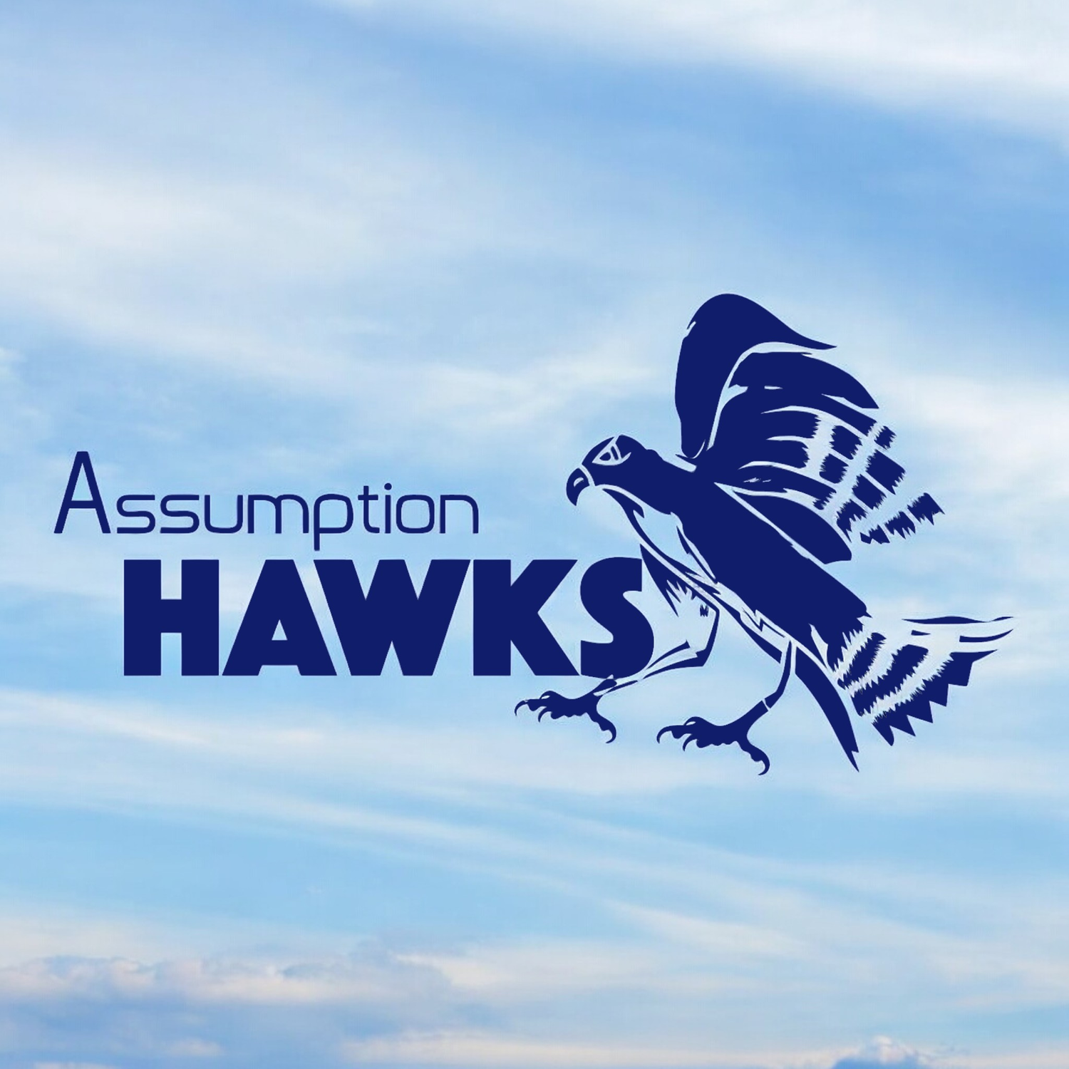 Assumption Merchandise