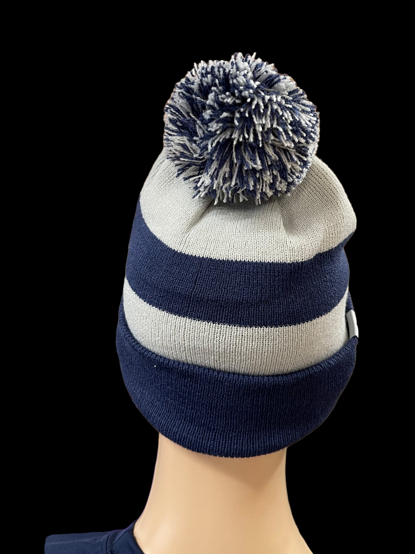 Assumption embroidered beanie